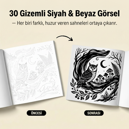 ColorColik™ - MonoSeri Tek Renk Boyama Kitabı