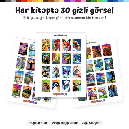 ColorColik™ - Gizem Numaralı Boyama Kitabı 60 Sayfa